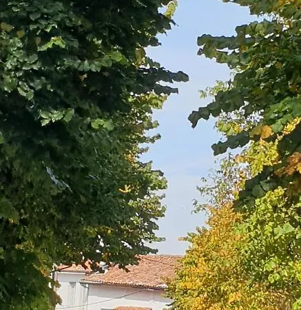 Casa Di Collina Nelle Langhe Typical Country House No001 *